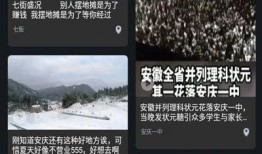 探店爆料视频素材,热门美食背后的故事与真相