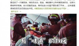 三屁视频在线观看,笑料横生的在线喜剧盛宴